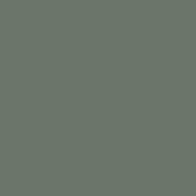 Pot de peinture vert kaki